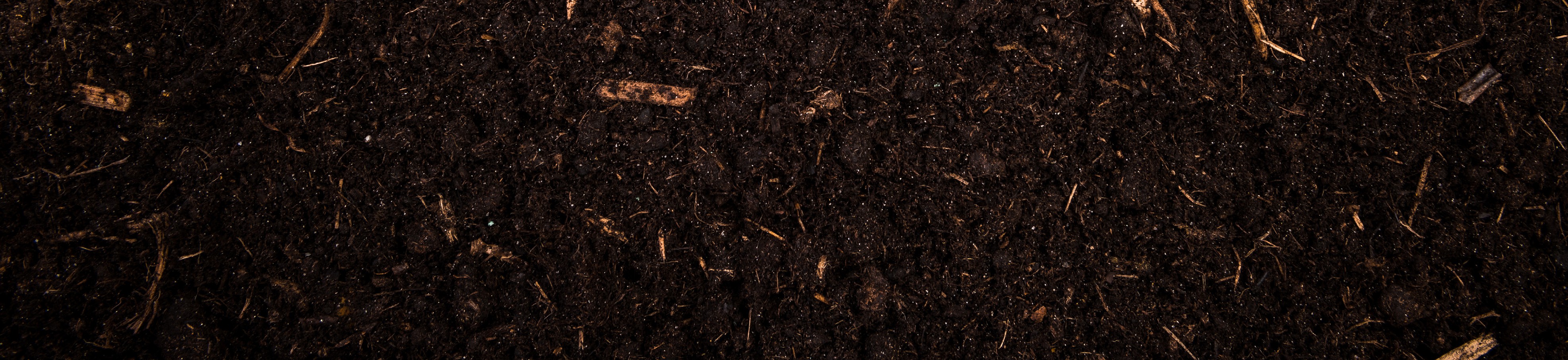 Rich dark soil — the foundation of every garden