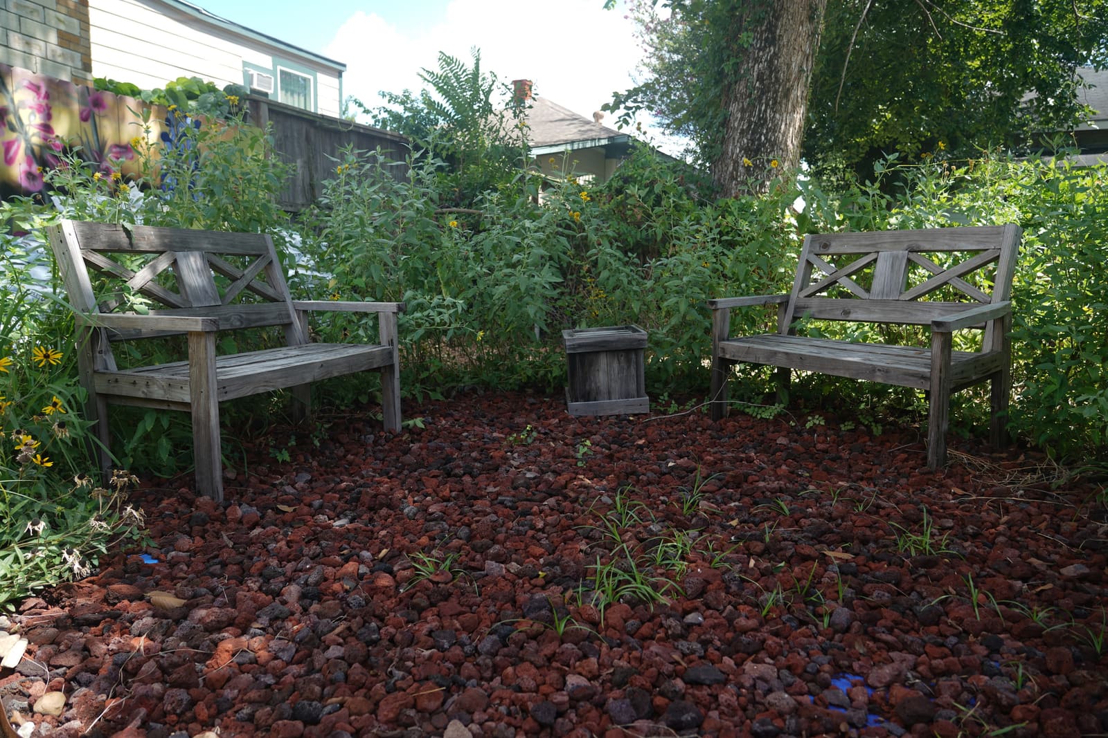 Two wooden benches facing each other on red lava rock under a tree