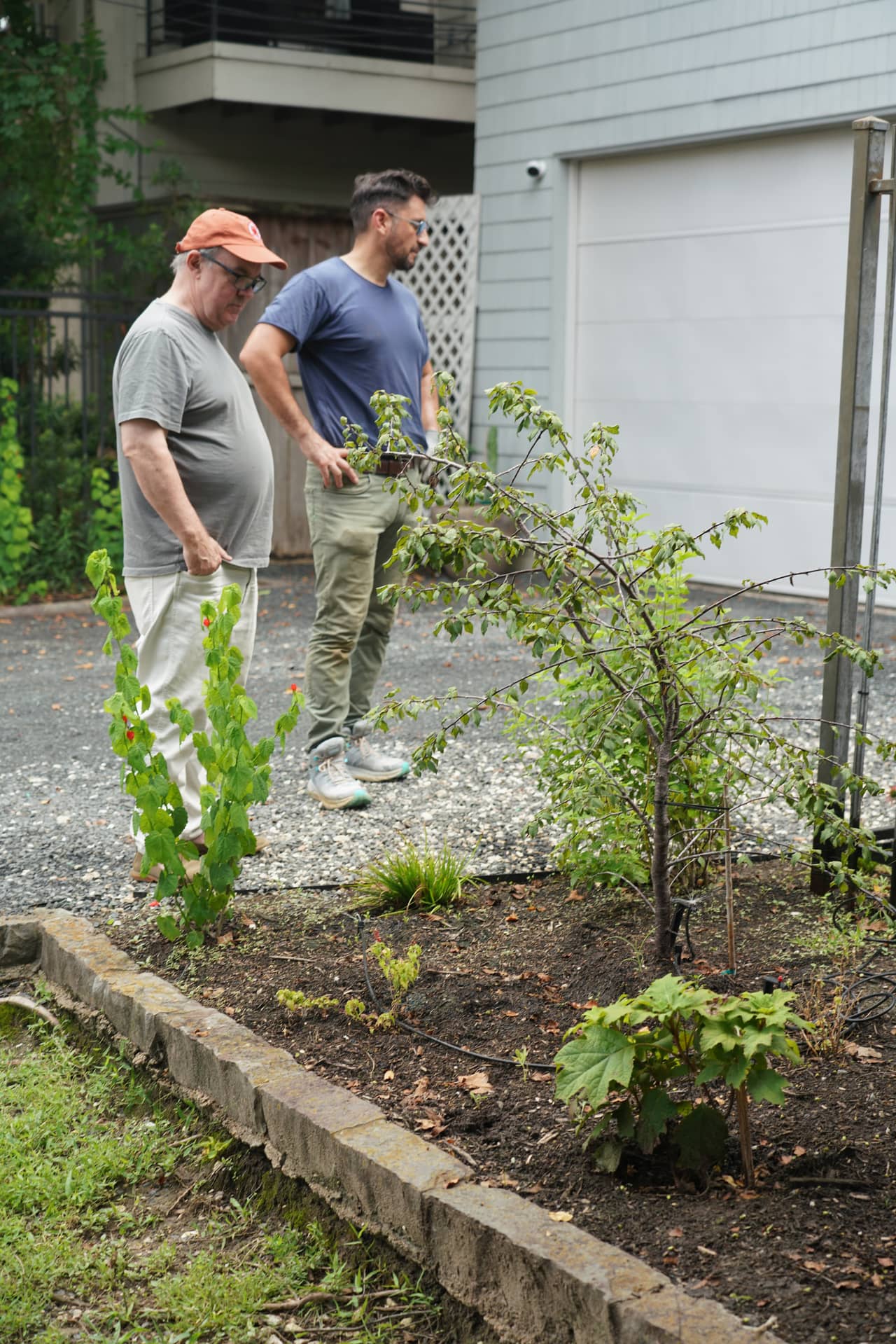 A homeowner and someone from Holon talking over a young garden bed by a driveway